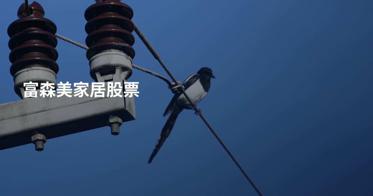 富森美家居股票