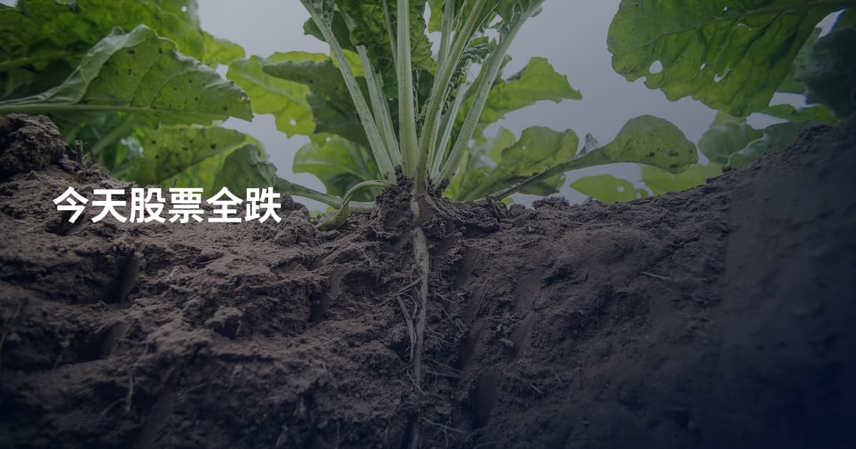 今天股票全跌