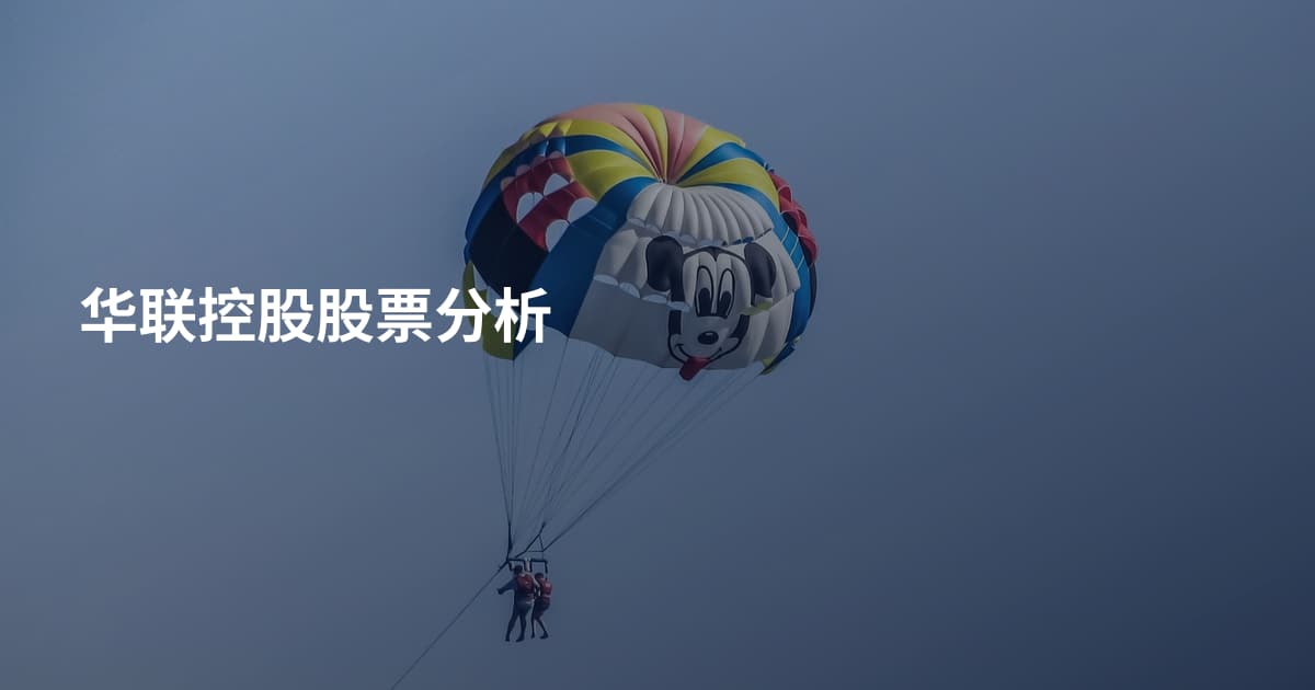 华联控股股票分析