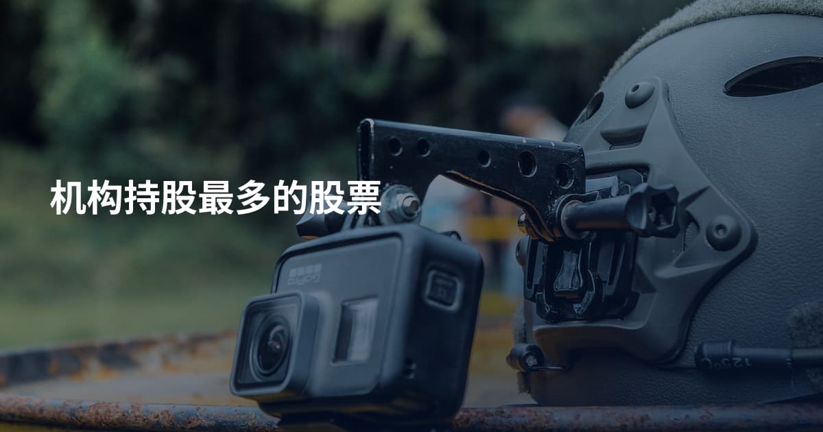 机构持股最多的股票