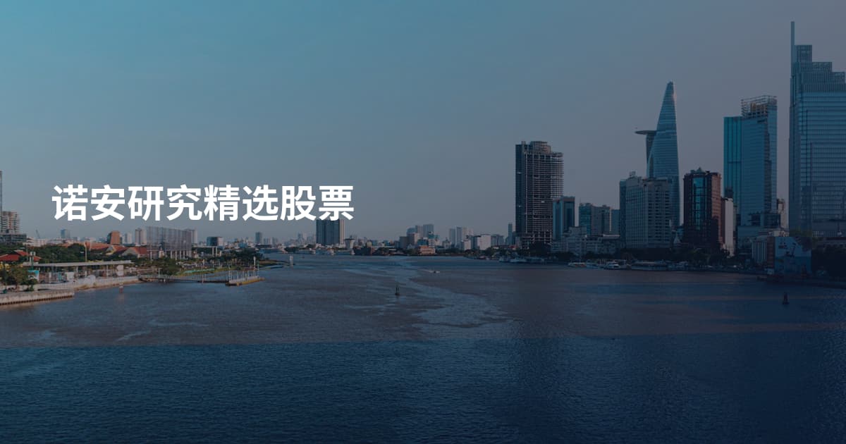 诺安研究精选股票