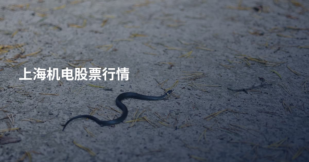 上海机电股票行情