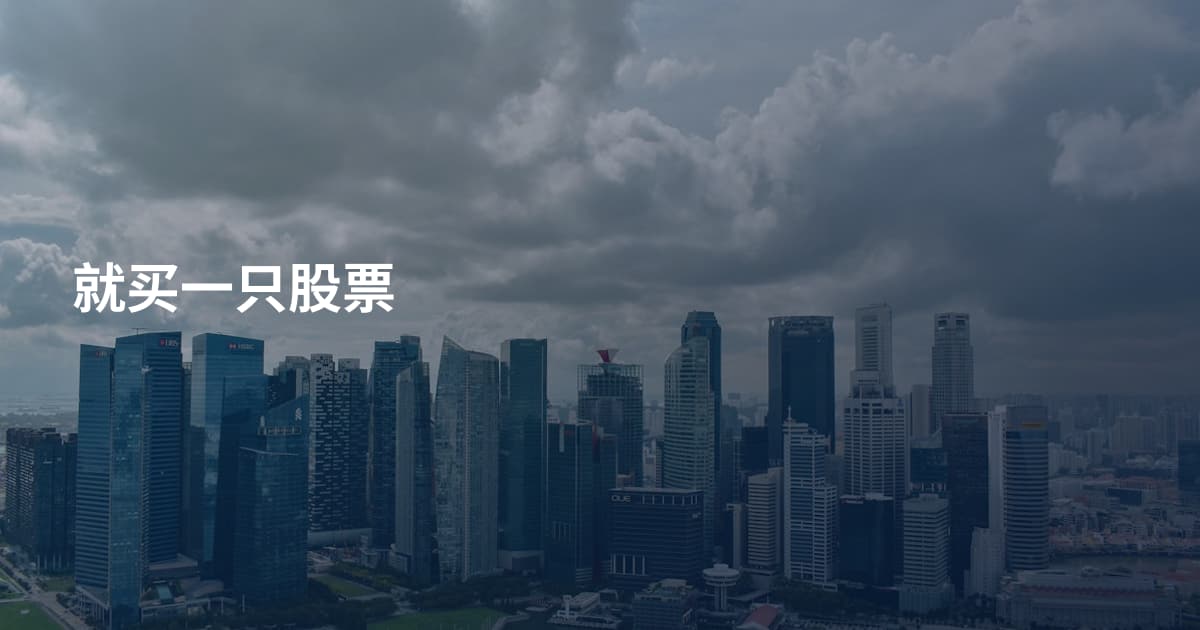 就买一只股票