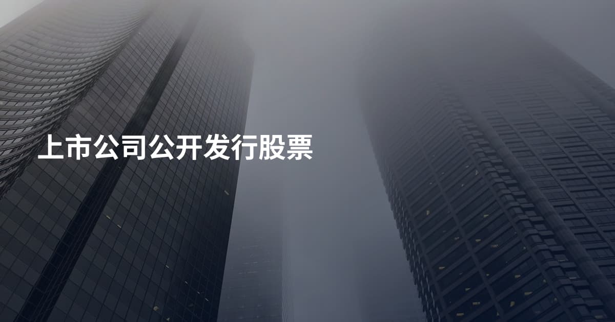 上市公司公开发行股票
