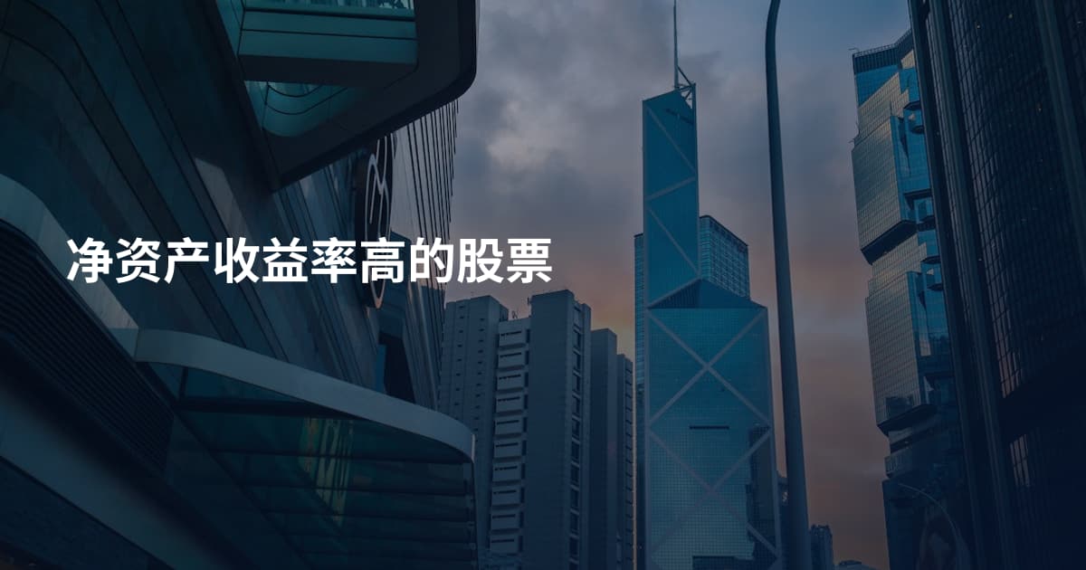 净资产收益率高的股票