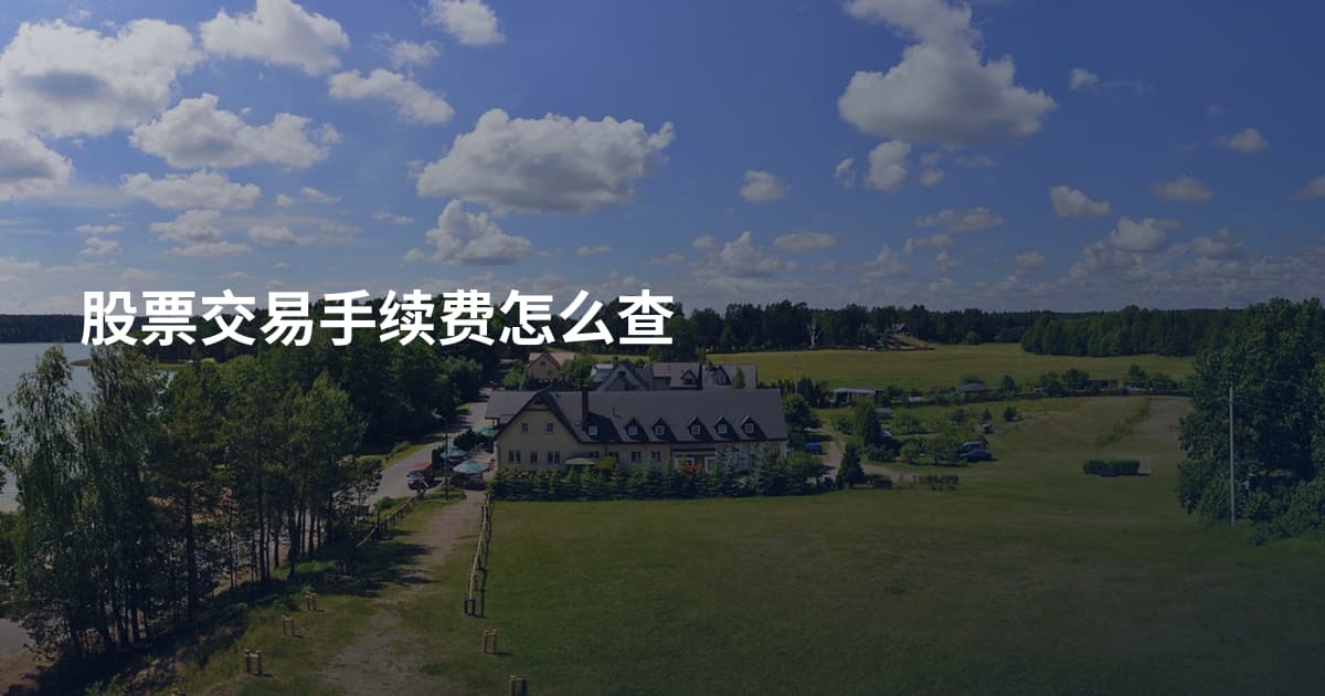 股票交易手续费怎么查