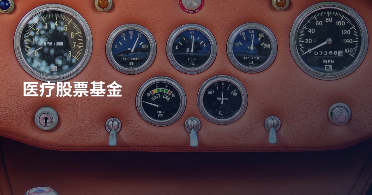 医疗股票基金