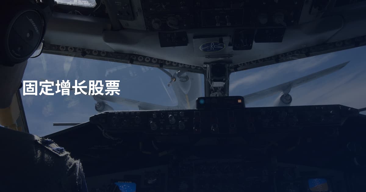 固定增长股票