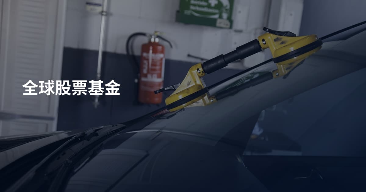 全球股票基金