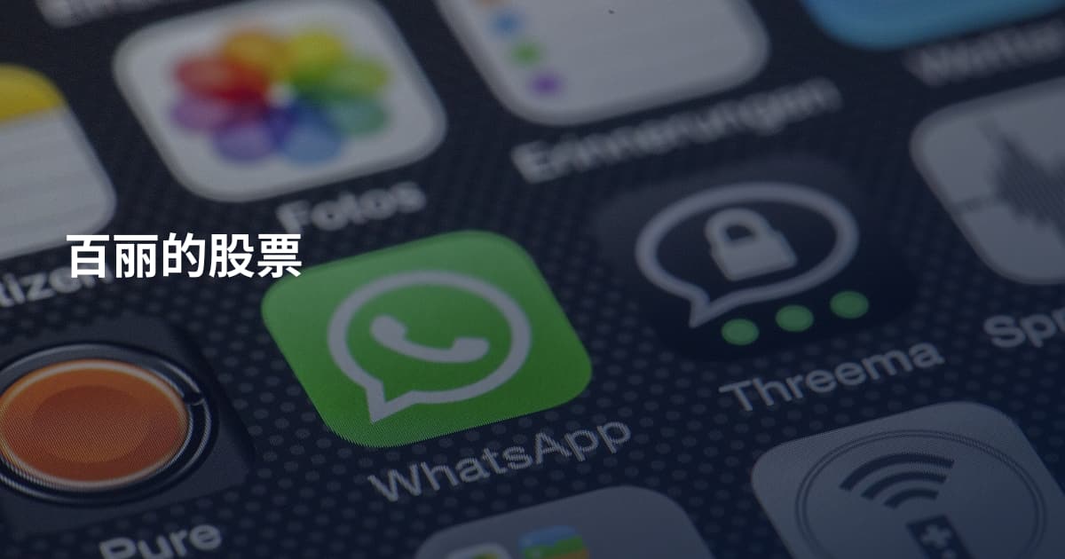 百丽的股票