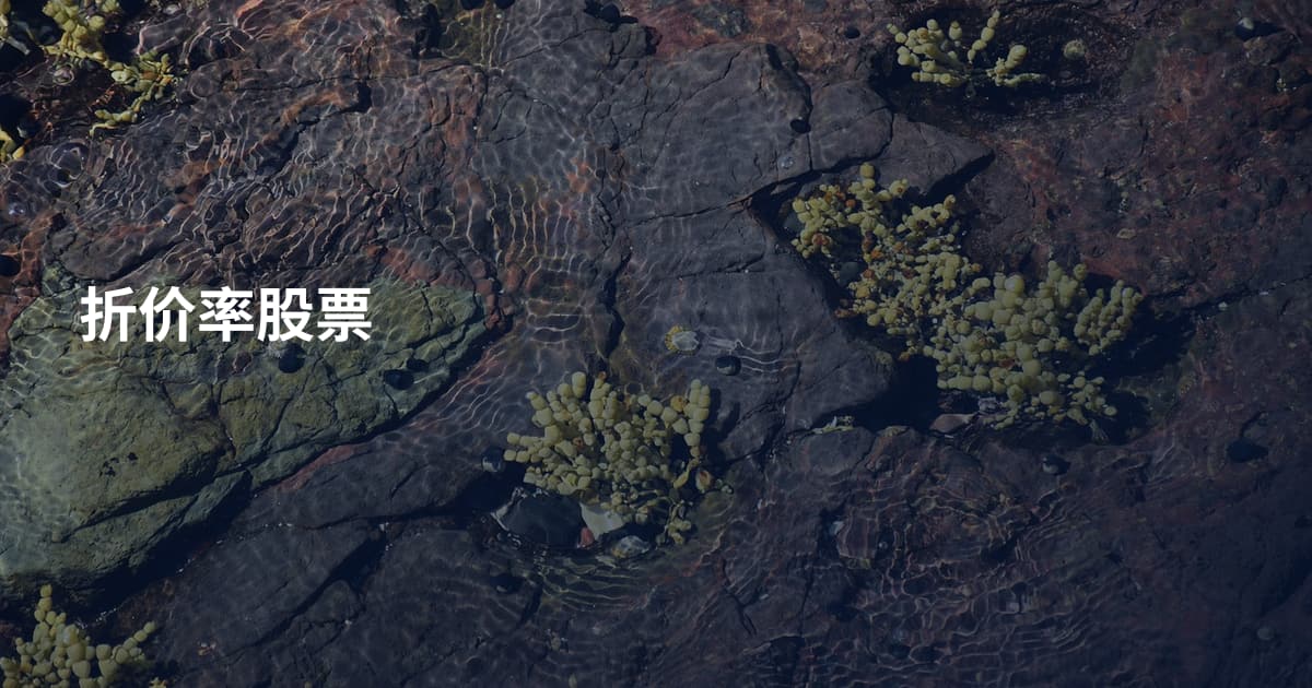 折价率股票