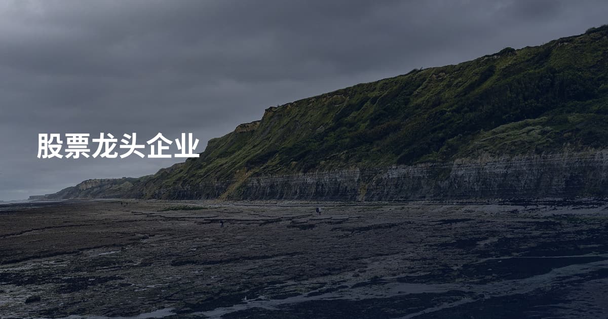 股票龙头企业