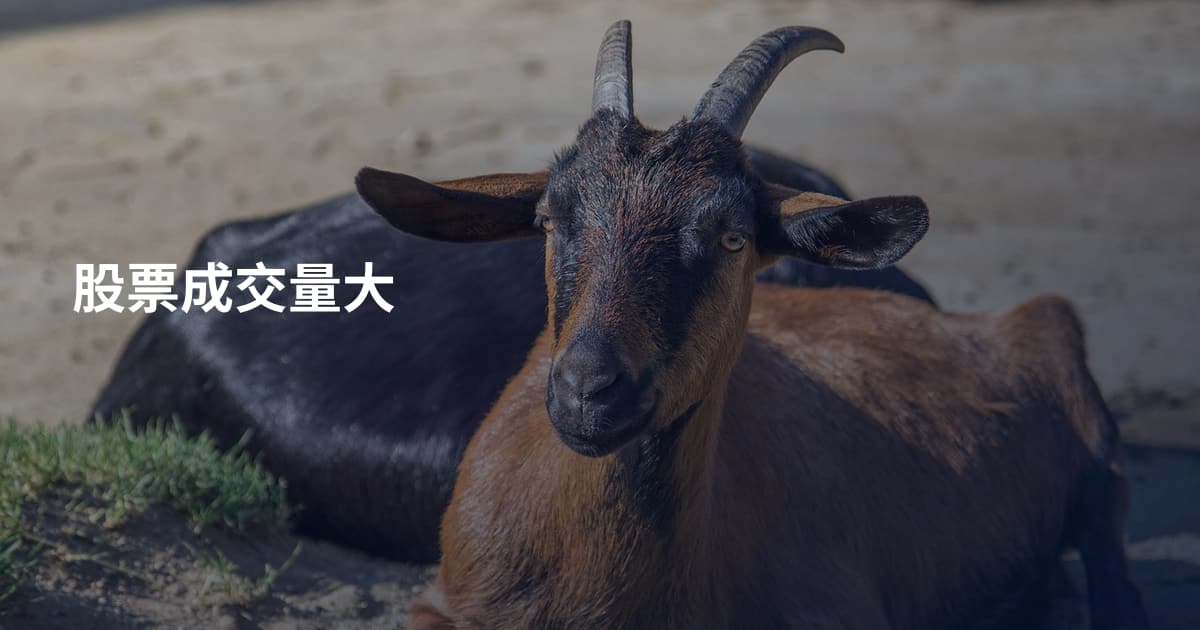 股票成交量大