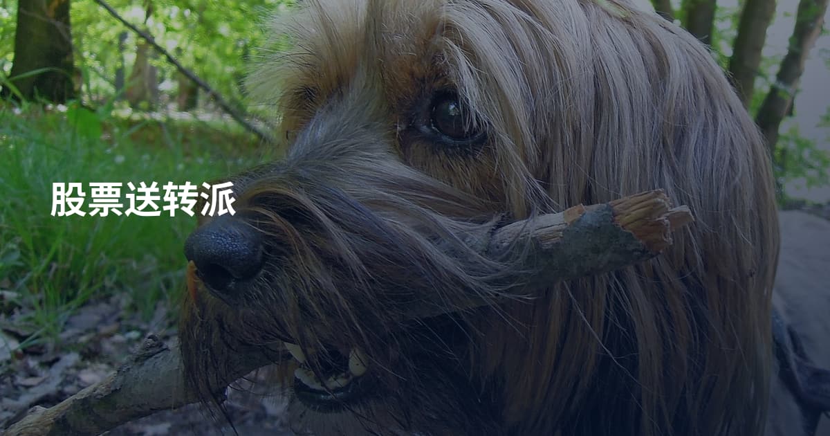 股票送转派