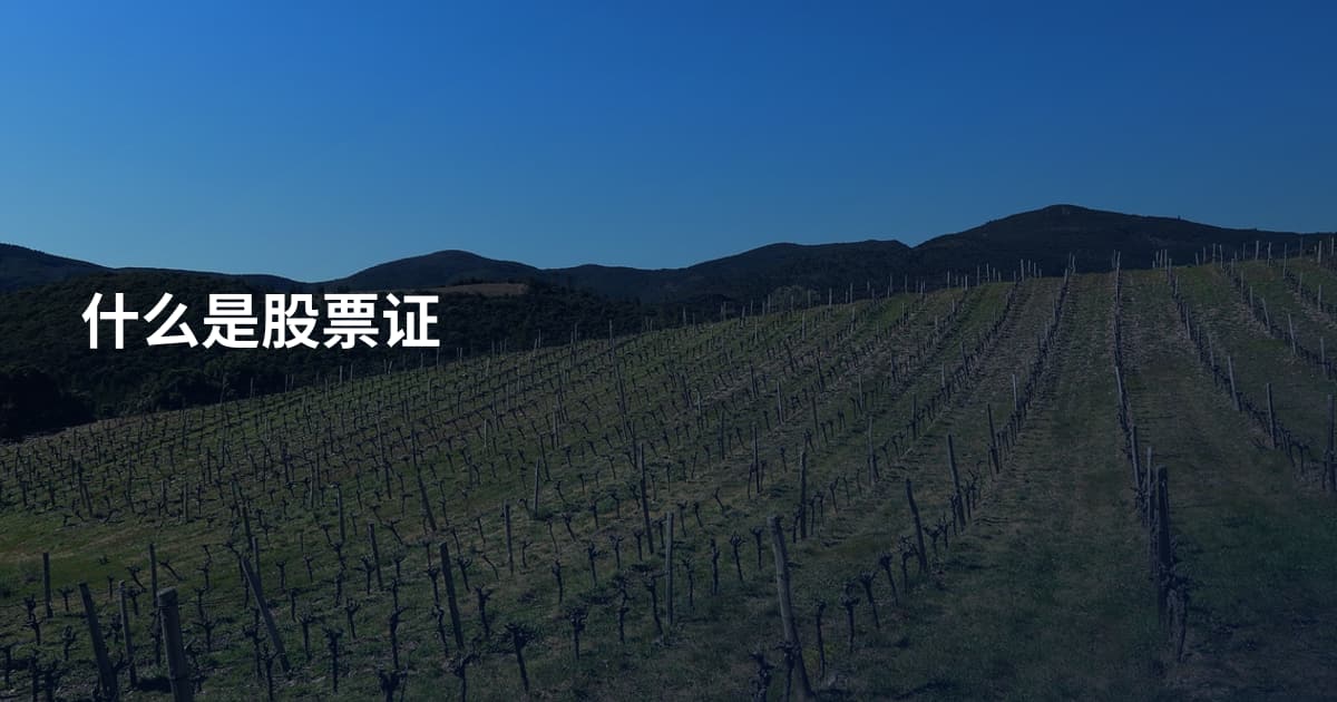 什么是股票证