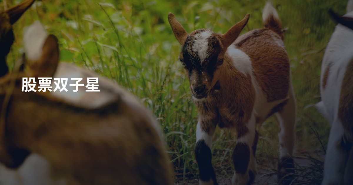 股票双子星