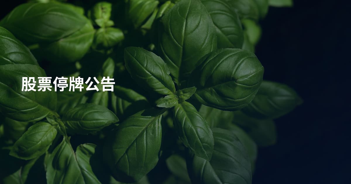 股票停牌公告