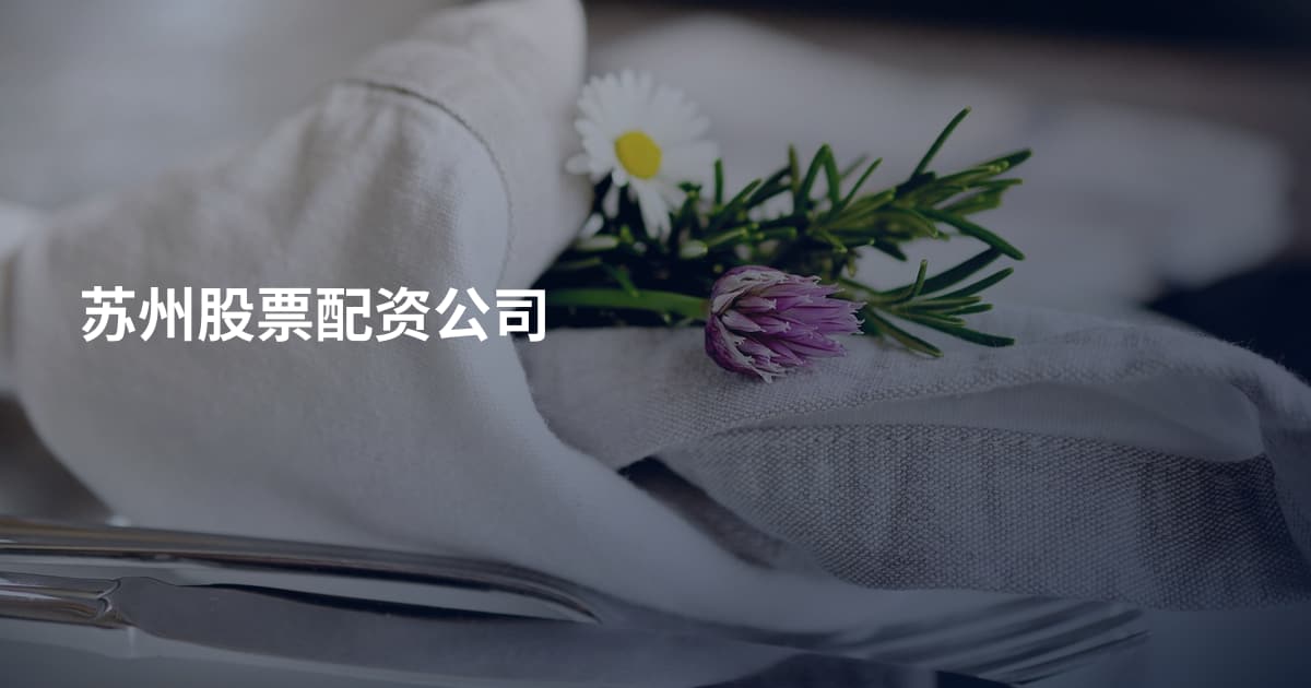 苏州股票配资公司