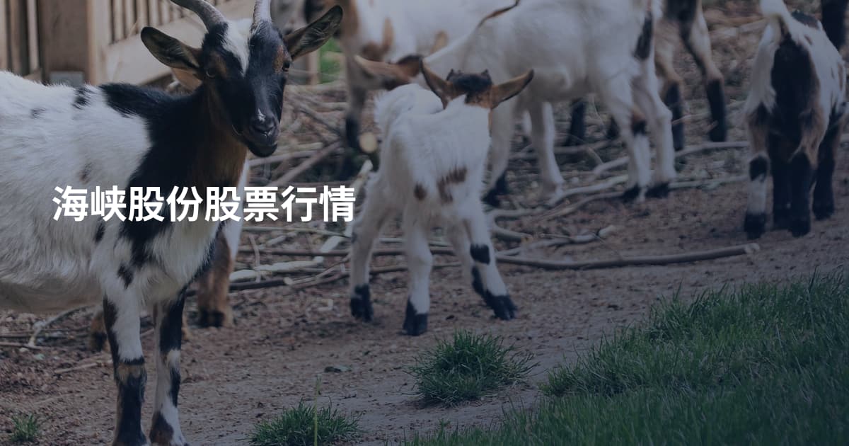 海峡股份股票行情