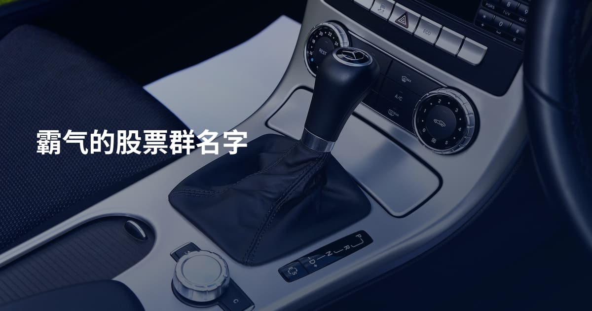 霸气的股票群名字