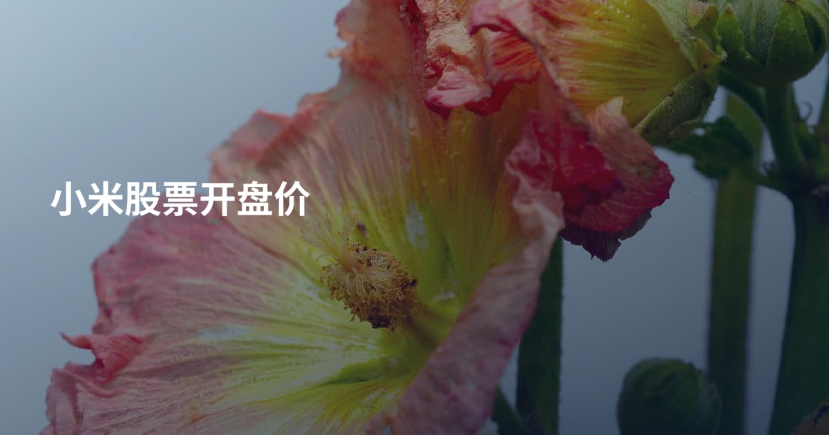 小米股票开盘价