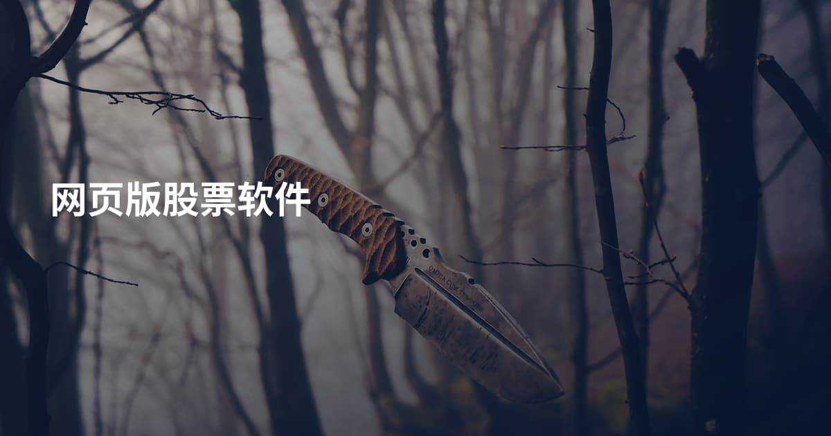 网页版股票软件