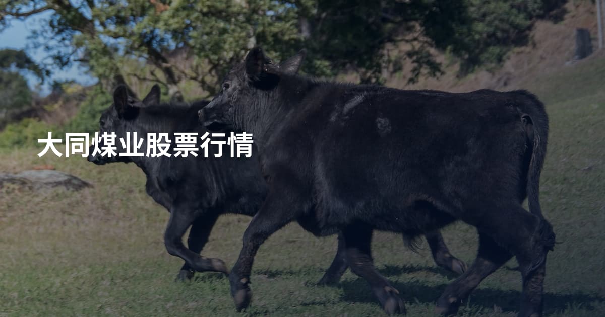 大同煤业股票行情