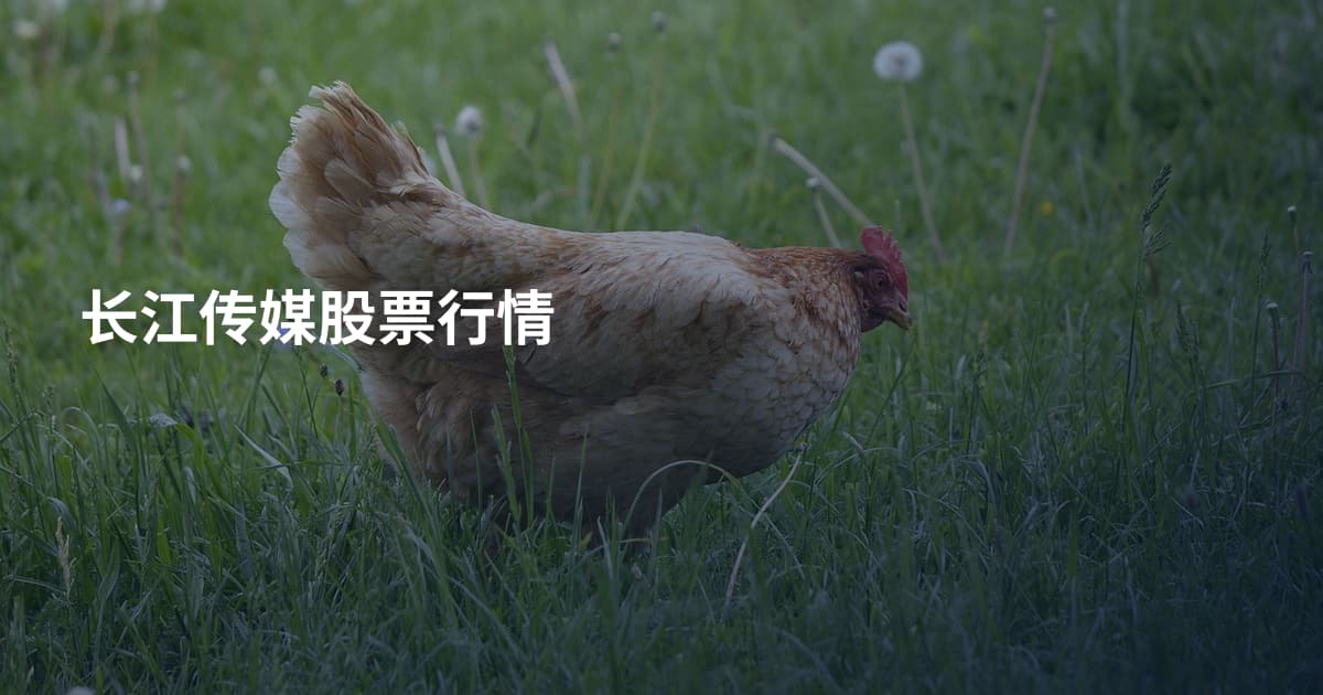长江传媒股票行情
