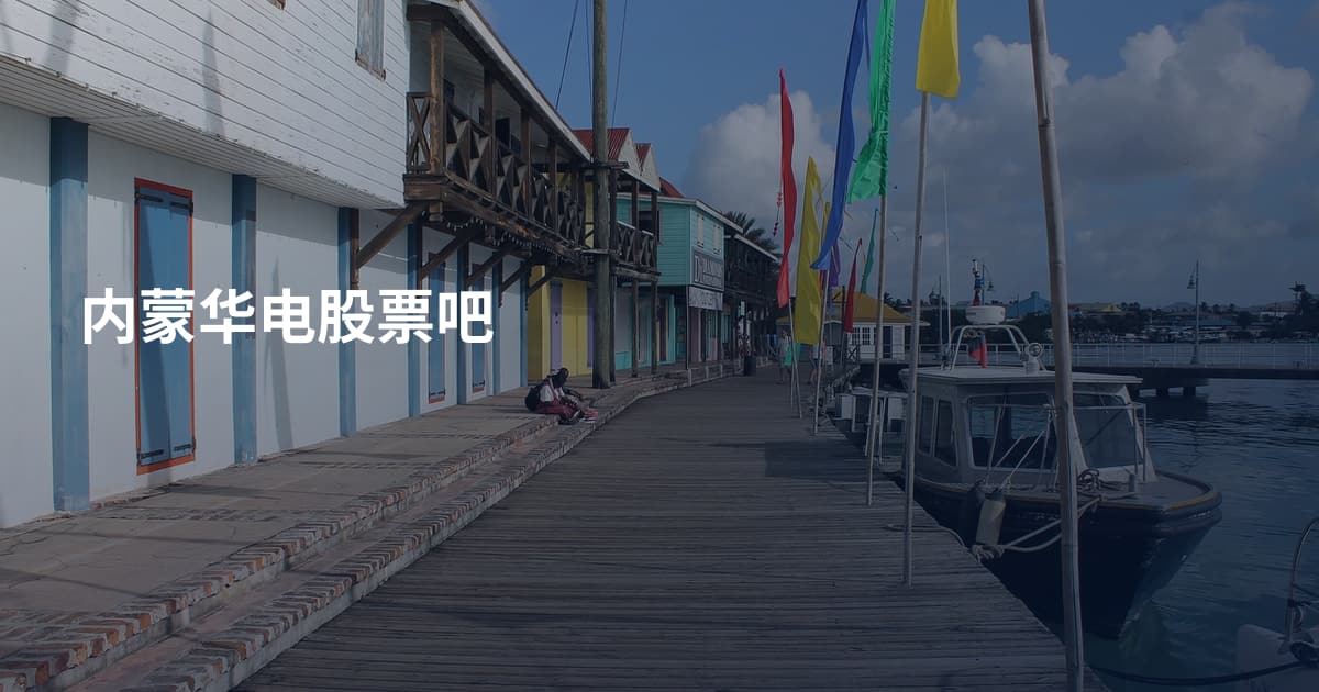 内蒙华电股票吧