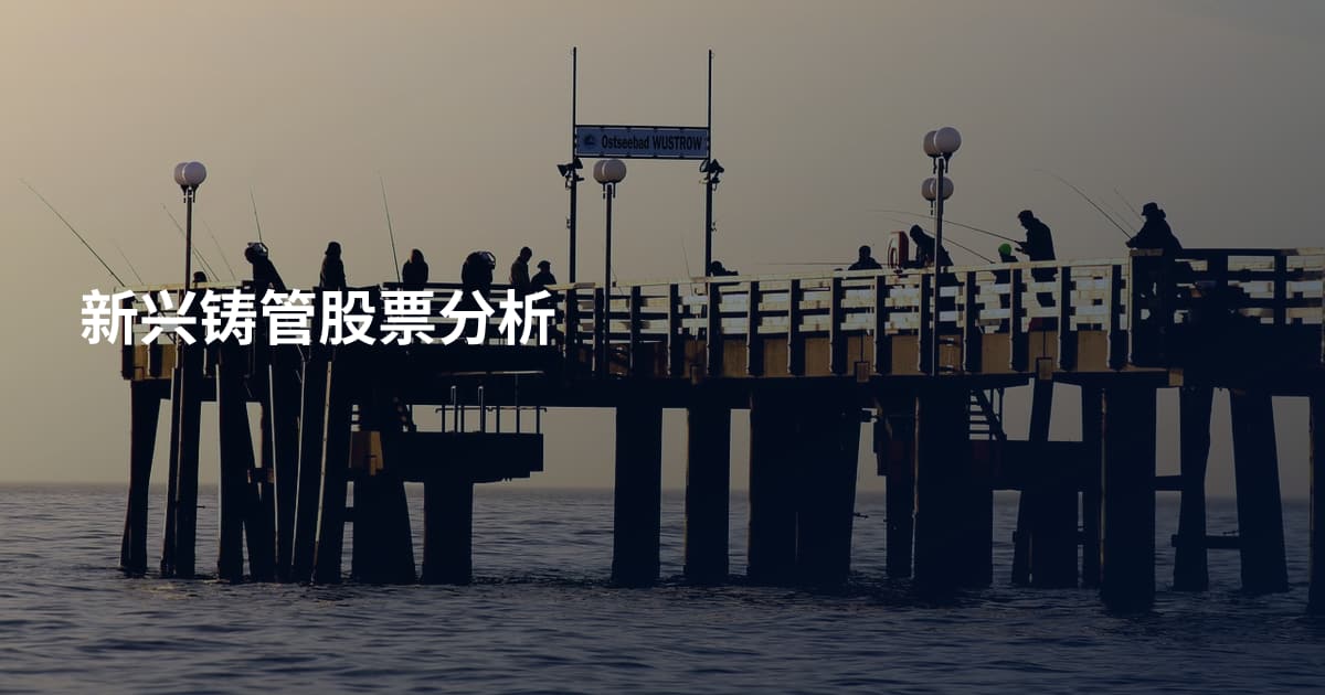 新兴铸管股票分析