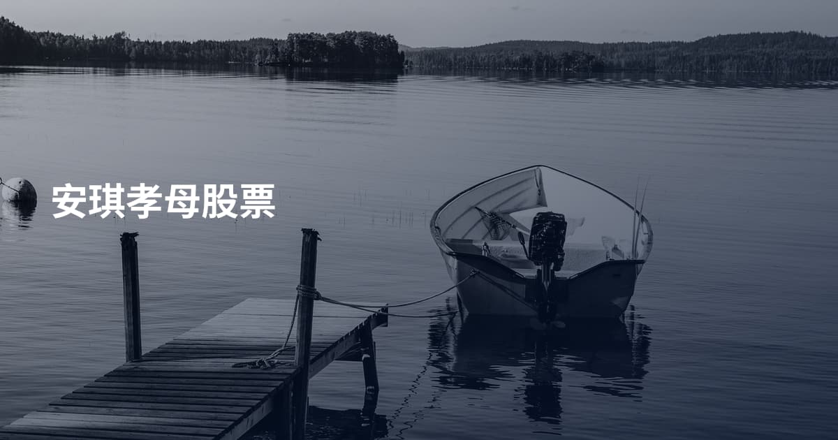 安琪孝母股票