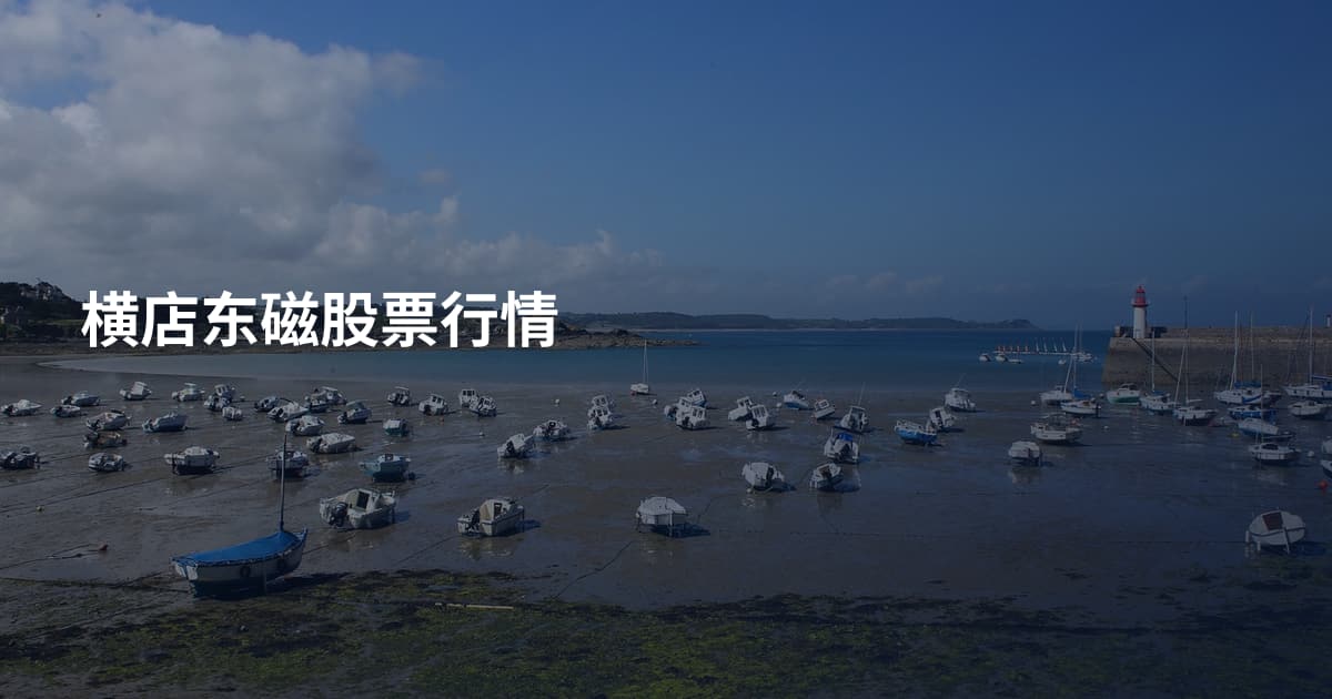 横店东磁股票行情