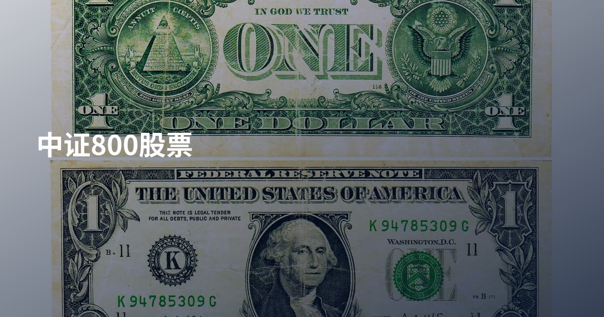 中证800股票