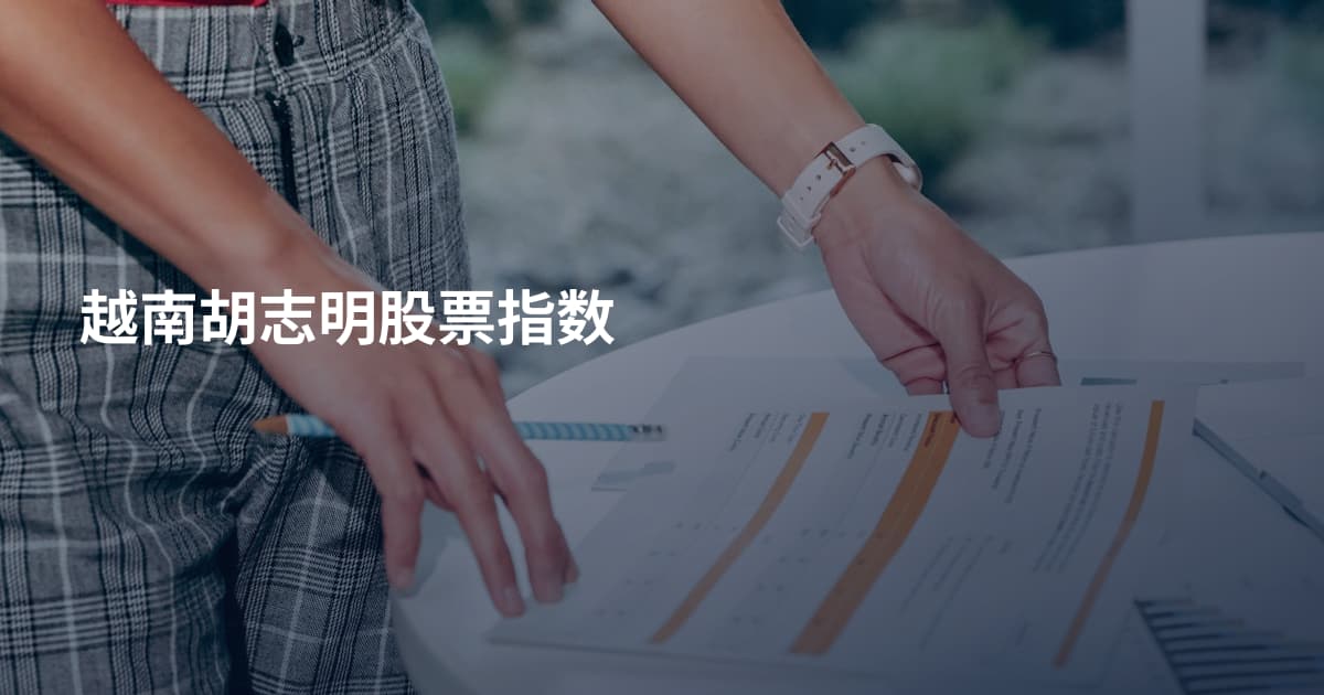 越南胡志明股票指数