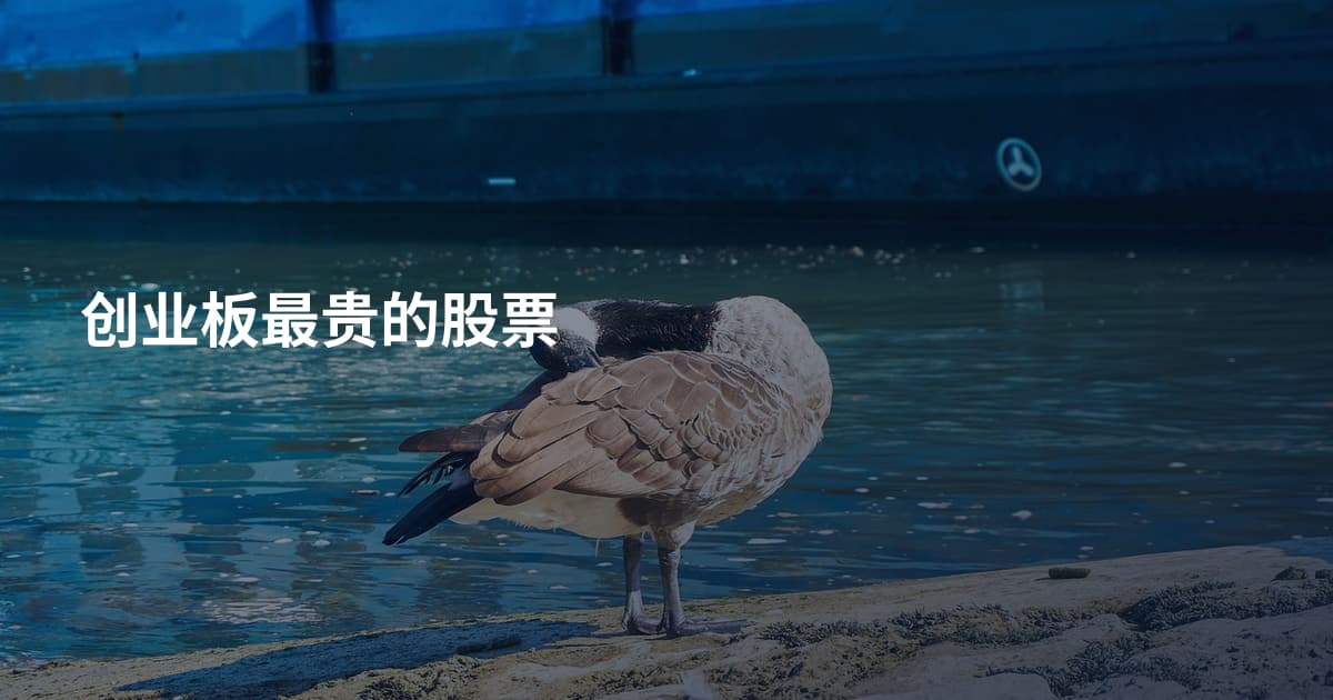 创业板最贵的股票