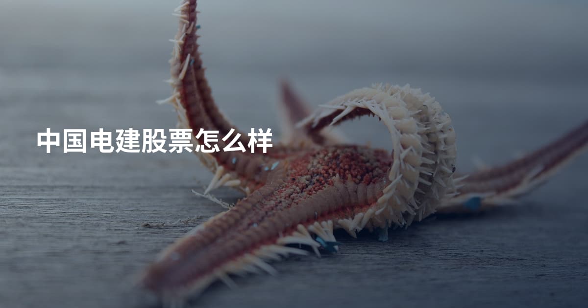 中国电建股票怎么样