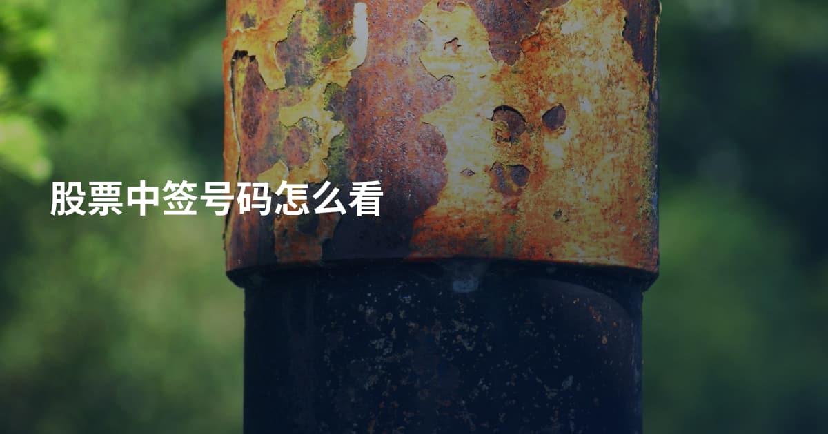 股票中签号码怎么看