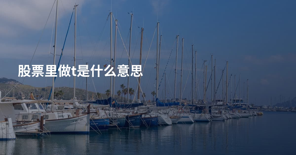 股票里做t是什么意思