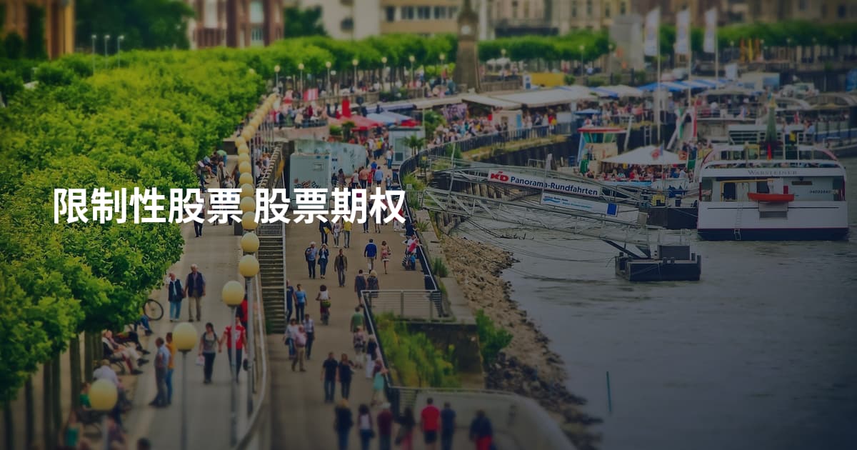 限制性股票 股票期权