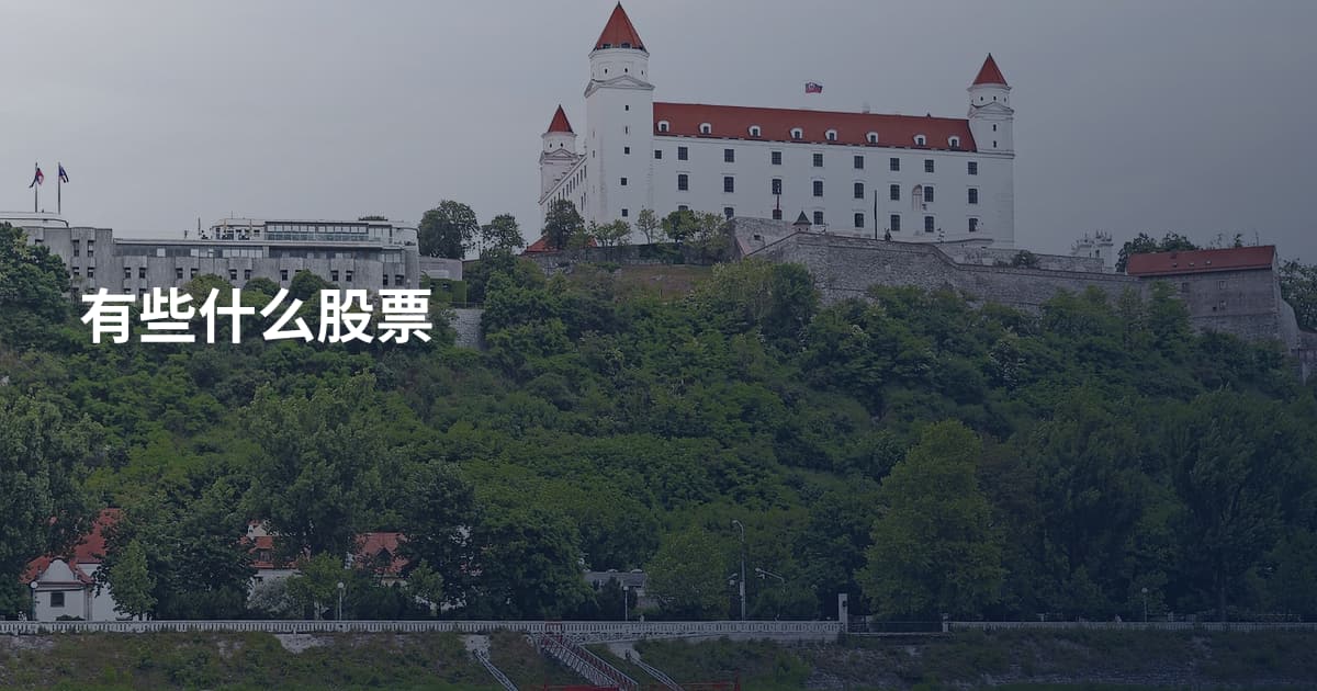 有些什么股票
