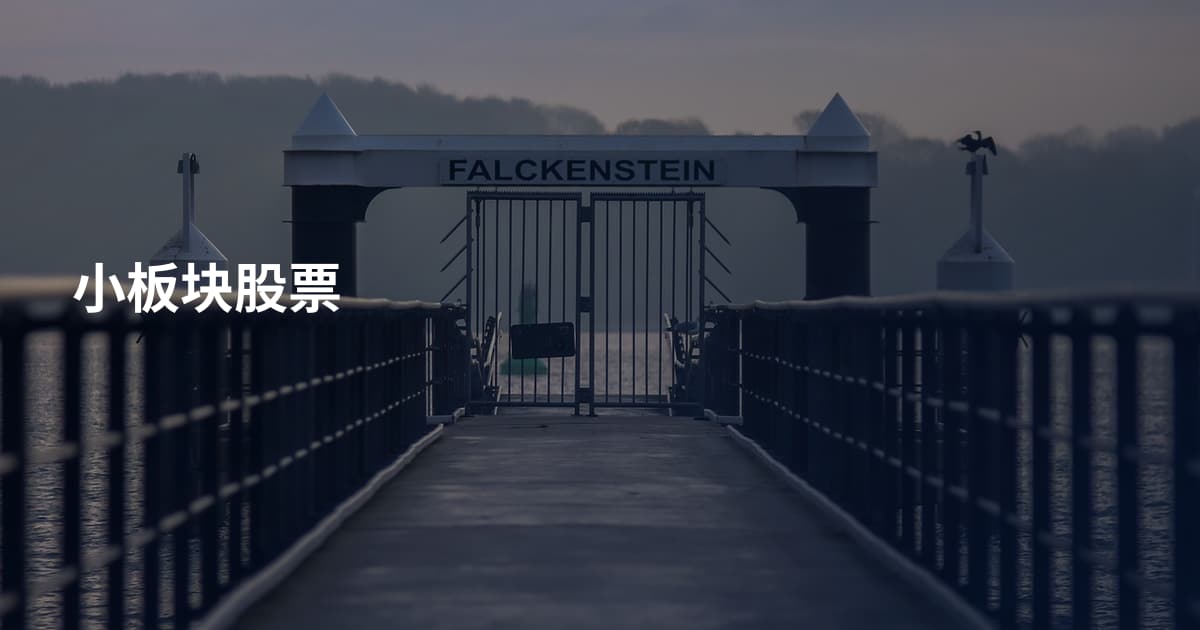 小板块股票