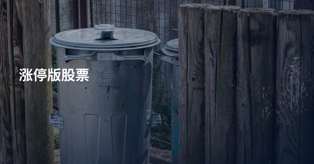 涨停版股票