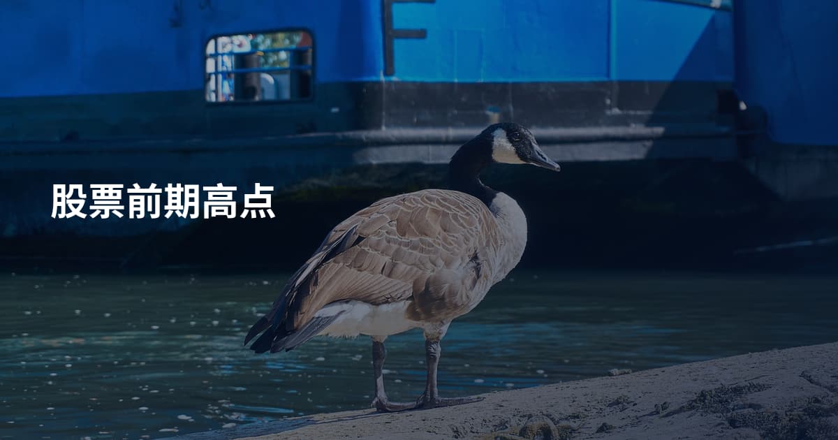 股票前期高点