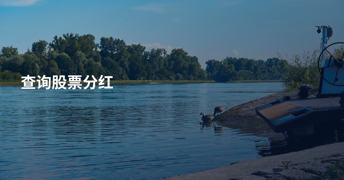 查询股票分红