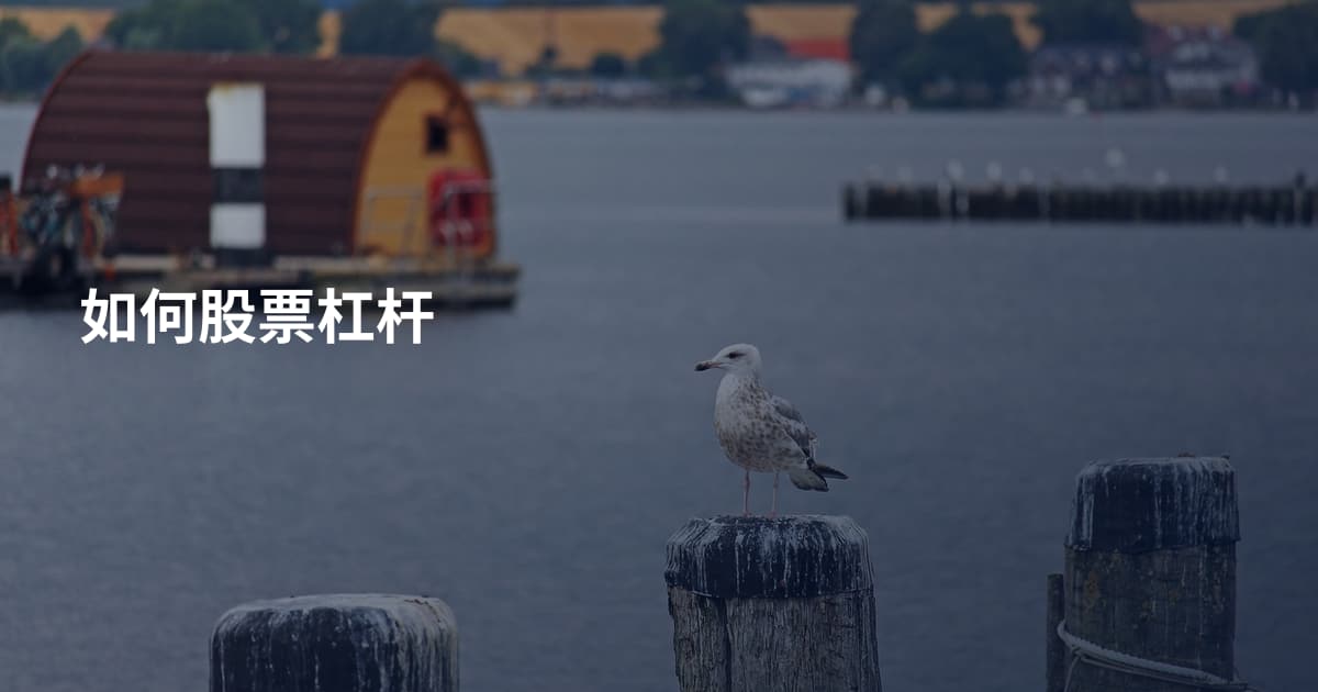 如何股票杠杆