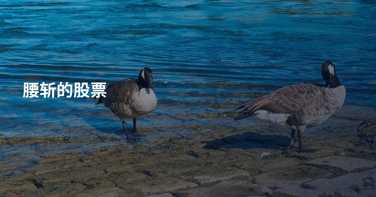 腰斩的股票