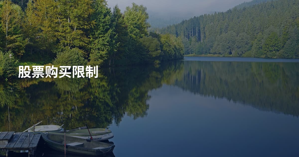 股票购买限制