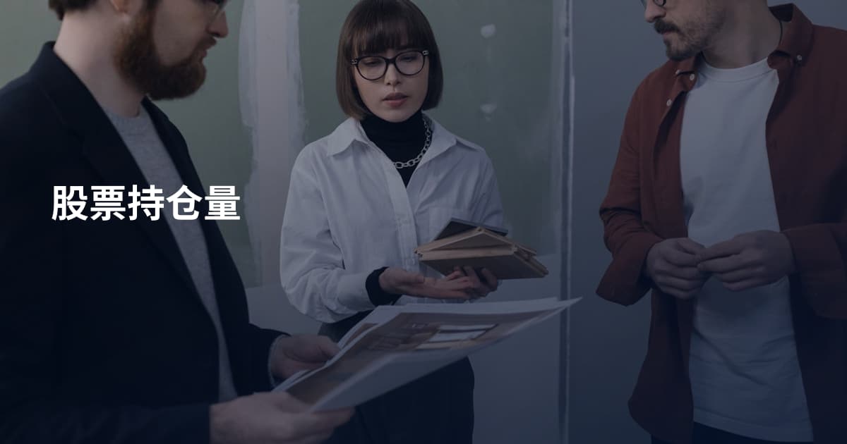 股票持仓量