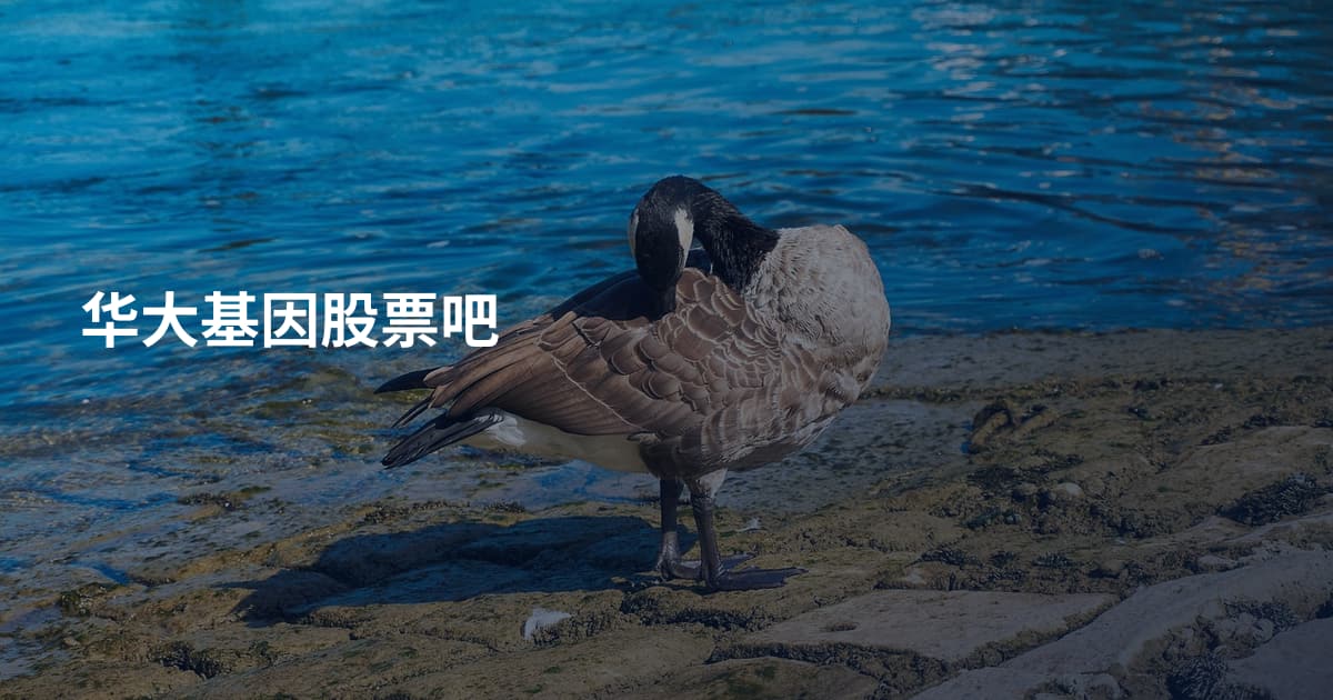 华大基因股票吧