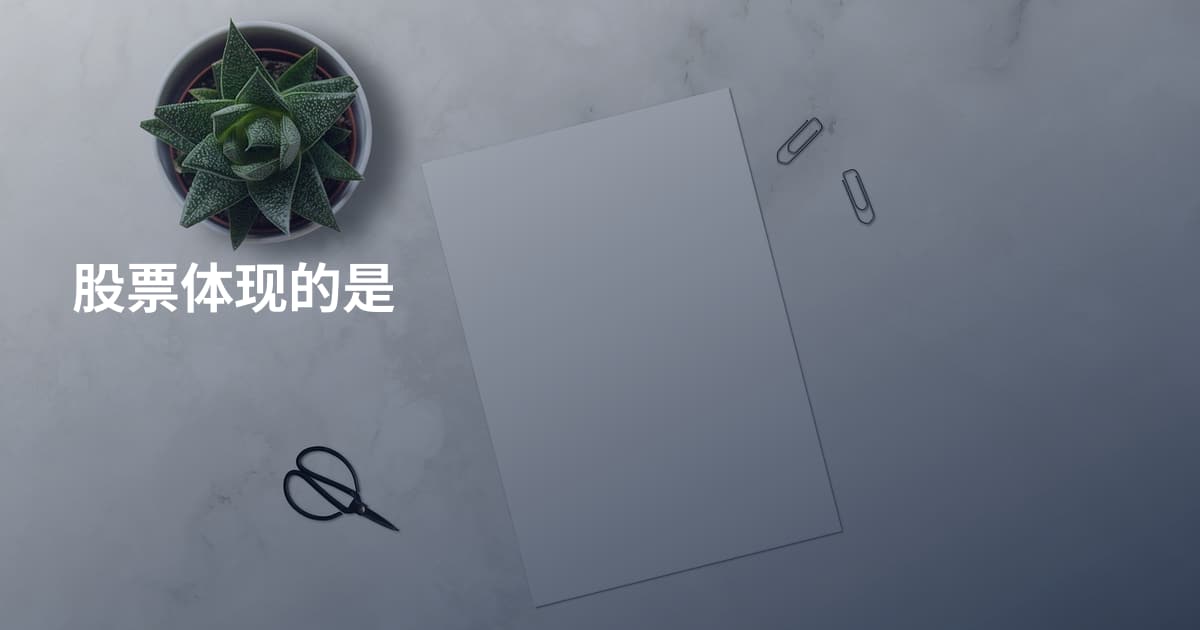 股票体现的是